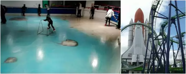 Amusement Park to hold memorial service after freezing 5000 fishes for 